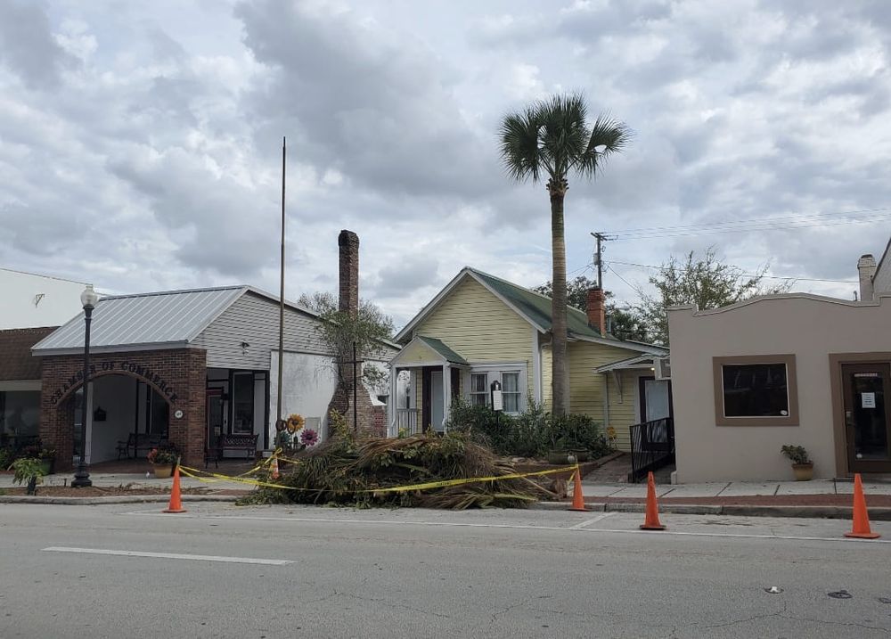 Tree Removal for Regal Tree Service and Stump Grinding in Wauchula, FL