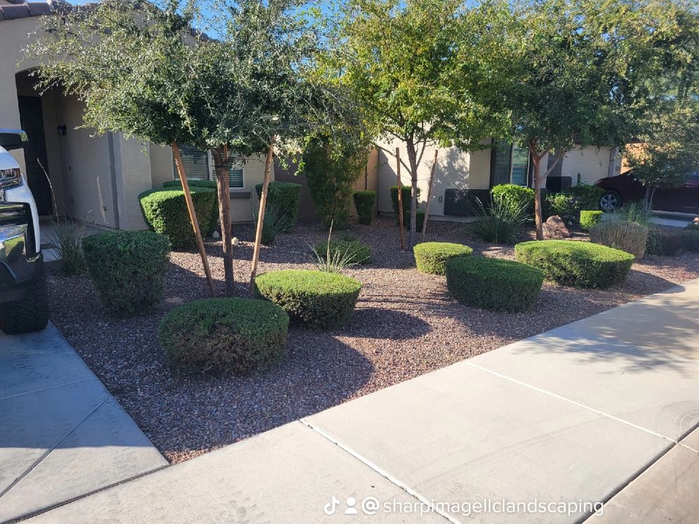 Shrub triming for Sharp Image LLC Landscaping & Hardscape in Phoenix, AZ