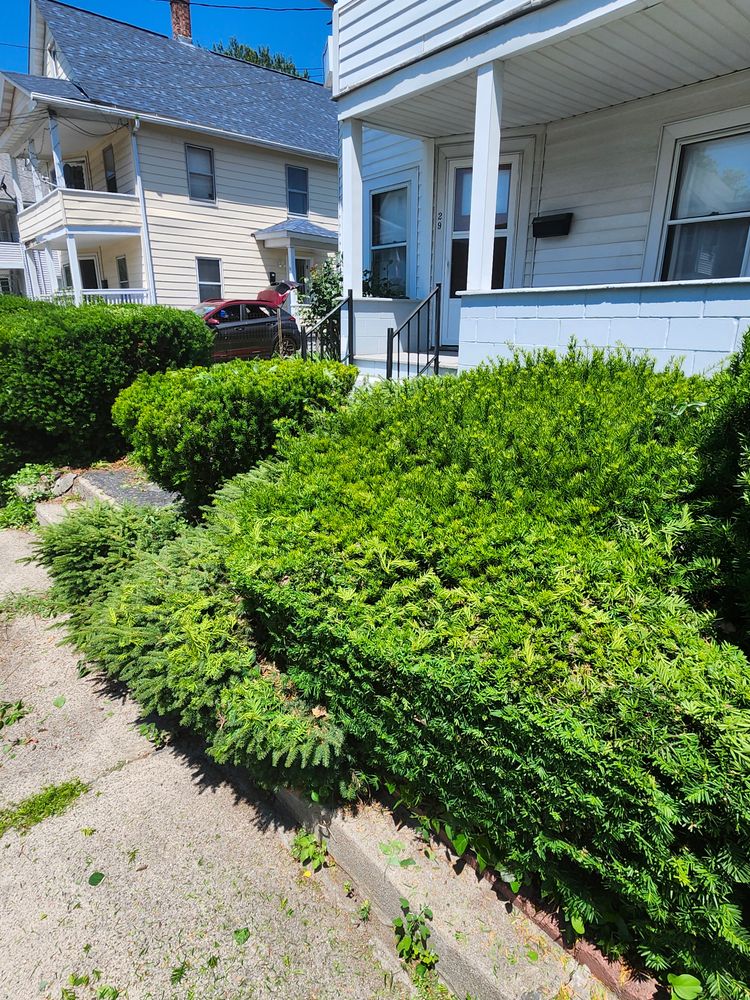 All Photos for Landscape Innovations LLC in Torrington, CT