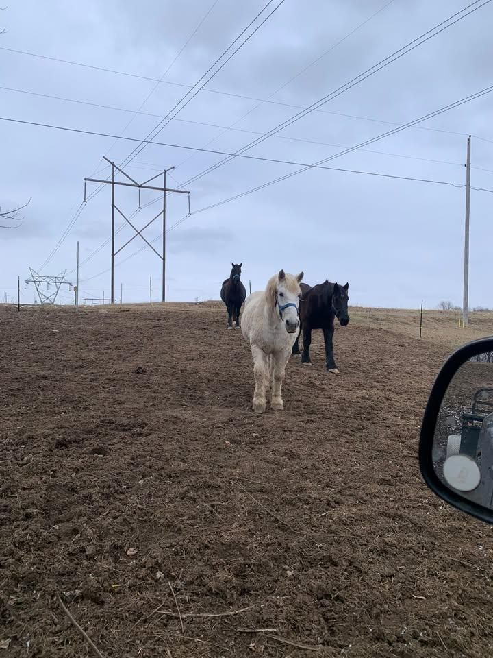 All Photos for Custom Carports and Shelters in Greensburg, IN
