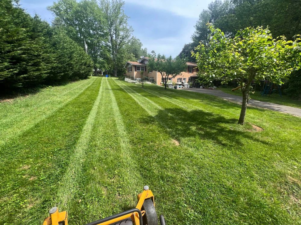 Landscaping for SkyLimit LawnCare in Leicester, NC