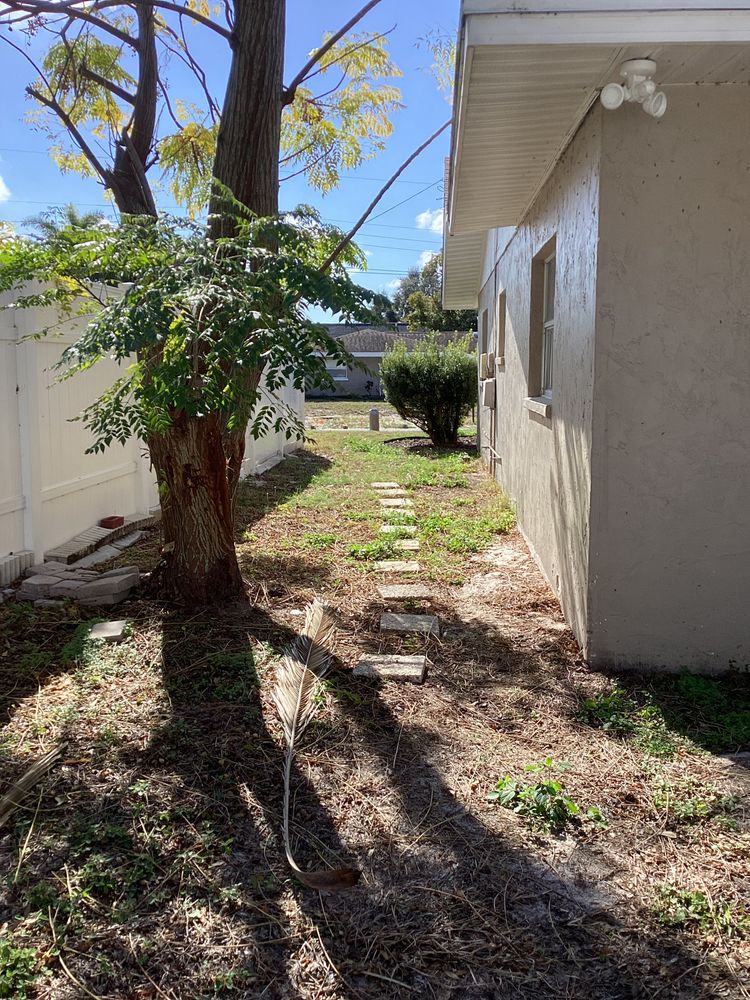 All Photos for GS Lawn & Landscape in Clearwater, FL