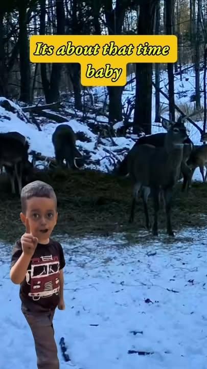 All Photos for Bluff Country Whitetails in Southern Indiana, IN