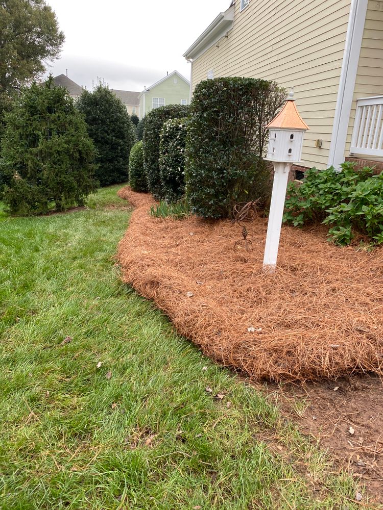 Pine Needle Installation for Dream Cuts Landscaping and Lawn Care LLC in Gastonia, NC