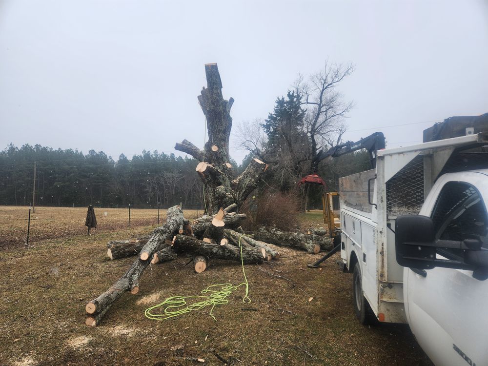 All Photos for Smith Tree Experts in Palmyra, VA