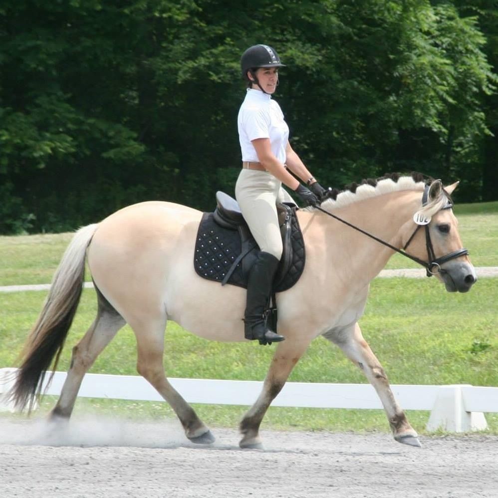 Lessons for Blue Stone Farm in Wantage, NJ