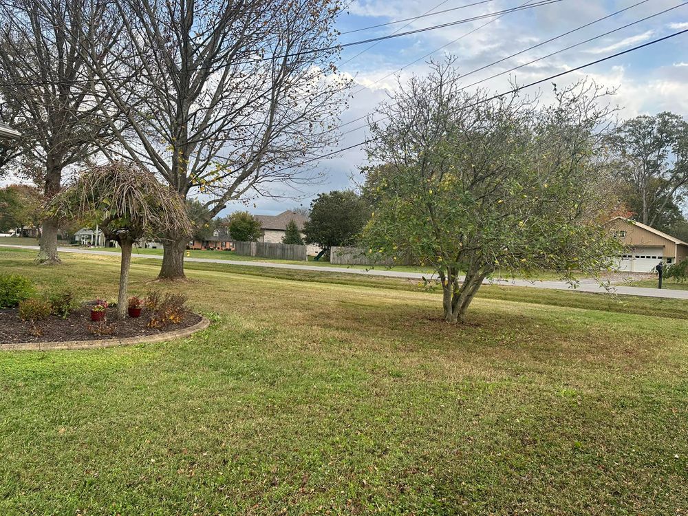 All Photos for Top Notch Tennessee Outdoor Services in Murfreesboro, TN