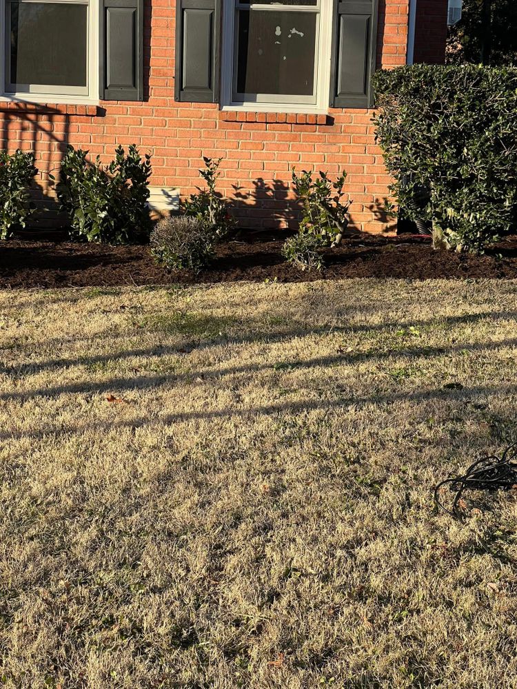 Landscaping for Team Bard Lawn Care SVC in Woodbury, TN