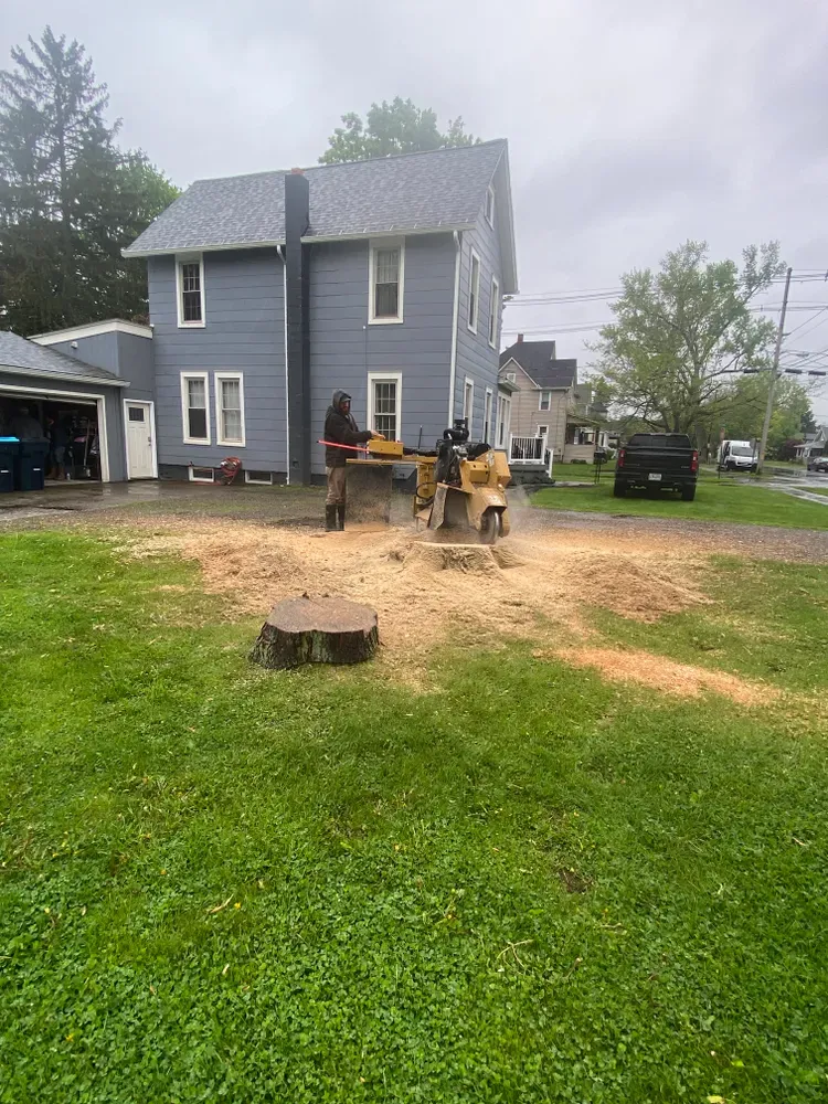 Stump grinding  for Licensed to Cut Tree Service in Athens, PA