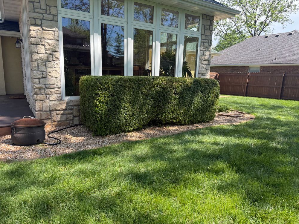All Photos for Mowraculous Lawn Care LLC in Republic, MO