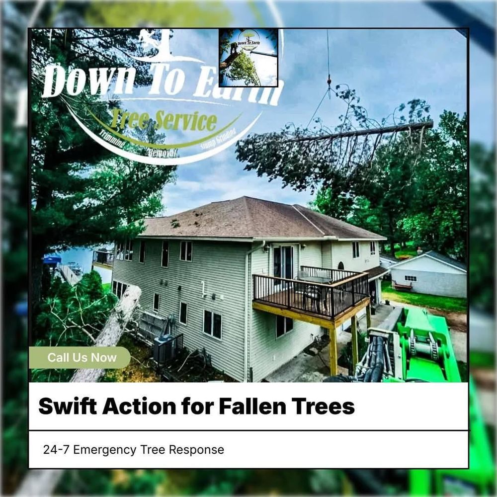 All Photos for Down To Earth Tree Service in Red Wing, MN