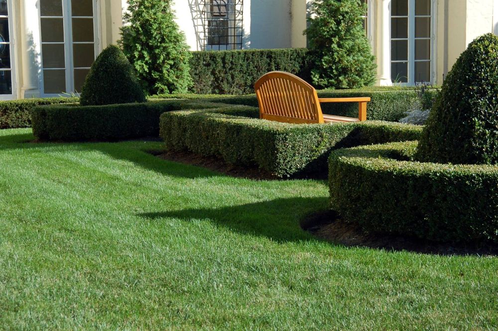 Landscaping for Cuernavaca Landscaping in Spring, TX