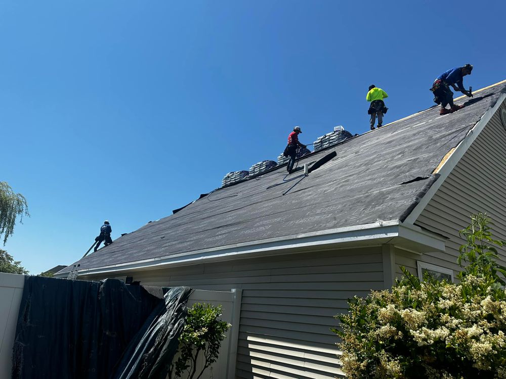 Macklen Roofing LLC team in Myrtle Beach, SC - people or person