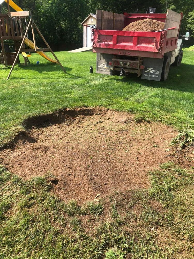 All Photos for Mad Tree Service in Cochranton, PA