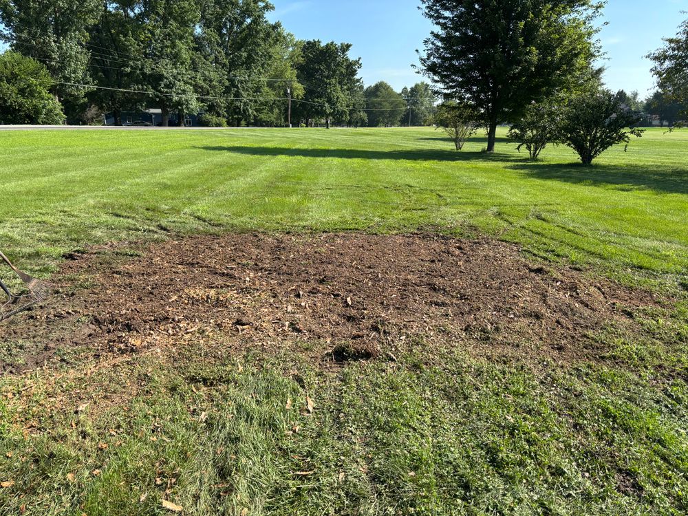 All Photos for Conrad's Stump Removal in Columbus, IN