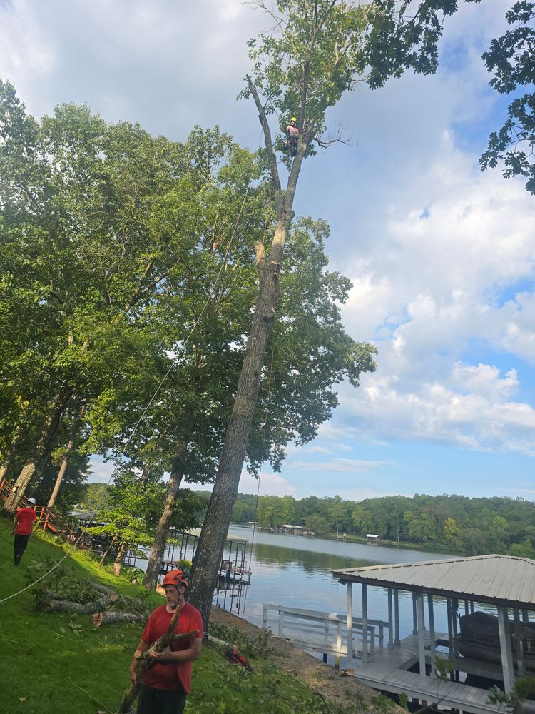 All Photos for Paquette's Tree Service in Malvern, AR