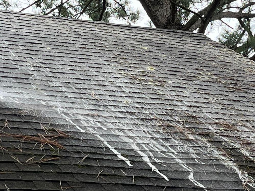 All Photos for Honey Do Oxford Pressure Washing and Soft Washing in Oxford, Mississippi