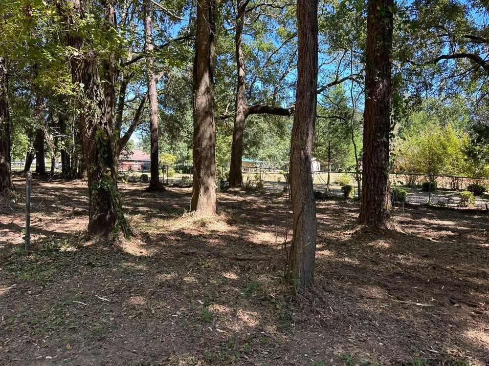 All Photos for White’s Land Maintenance in Milton,, FL