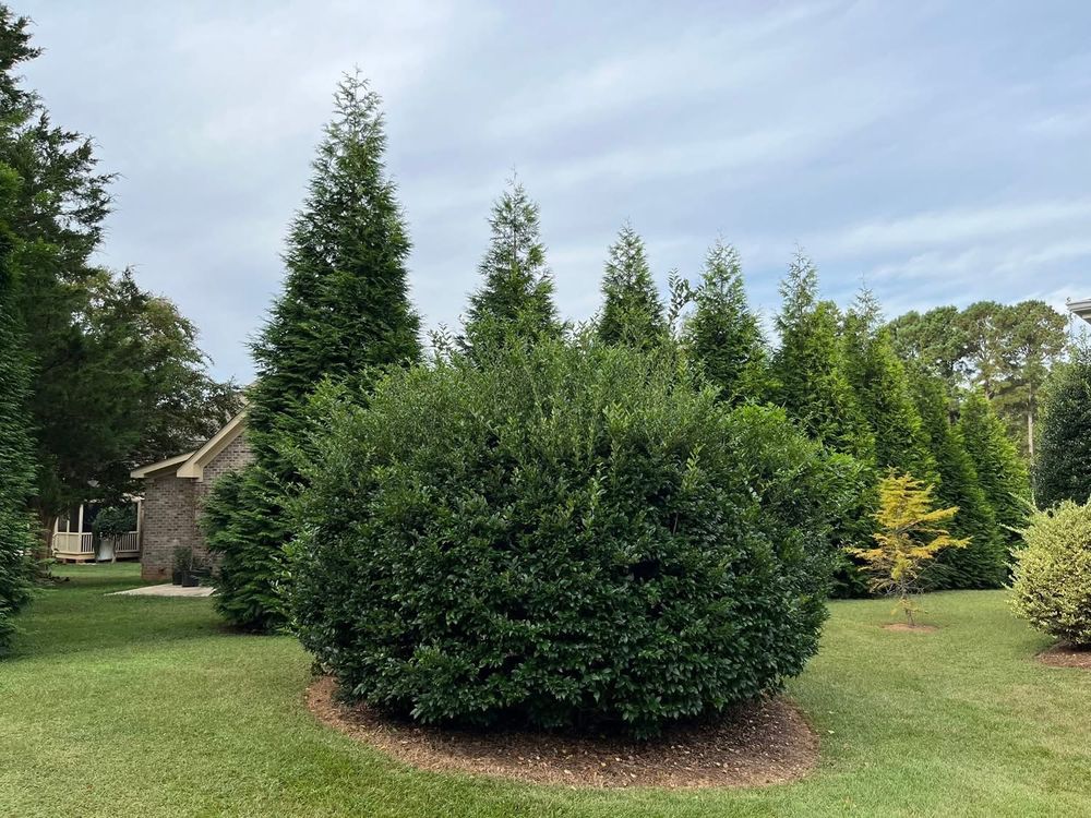 All Photos for Green Works Landscaping in Clayton, NC