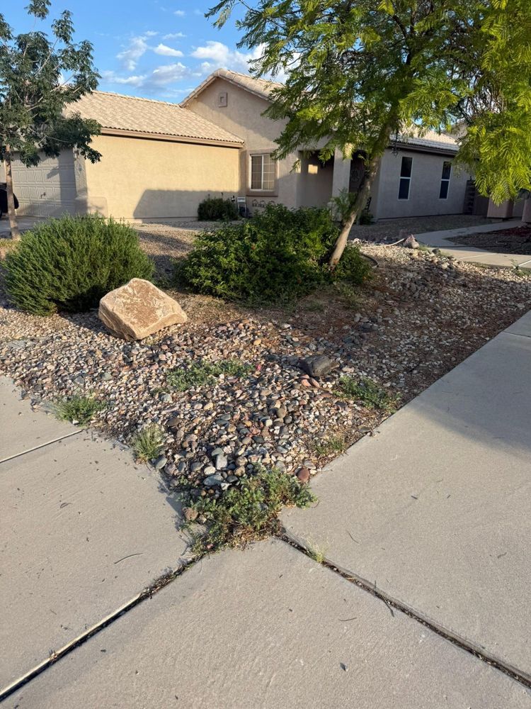 All Photos for LM Landscapes & Irrigation LLC Verified Account in Marana, AZ