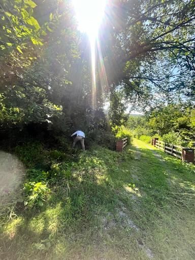 All Photos for Ricky's Tree Service & Property Care in Orange, VA