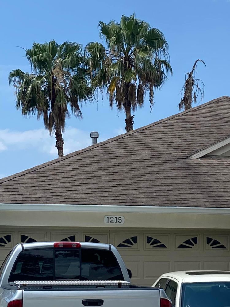 Fall and Spring Clean Up for Efficient and Reliable Tree Service in Lake Wales, FL