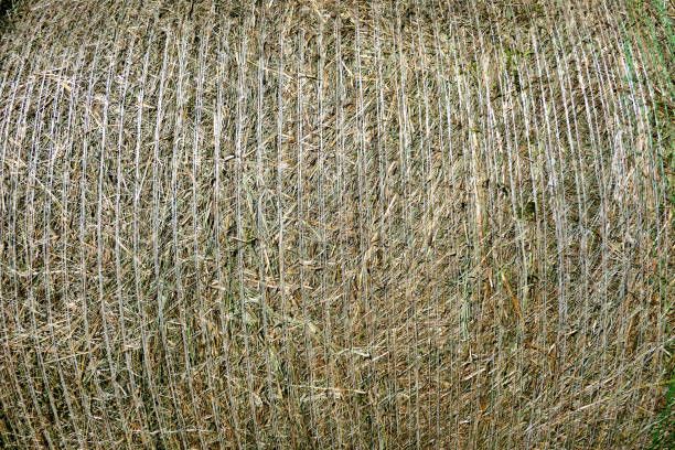 Our expert Baler Install And Repair service ensures efficient waste management solutions, enhancing home functionality. Trust our skilled team for seamless installation and reliable repairs that keep your baler running smoothly. for SSC All Trade Solutions in Windham, NH