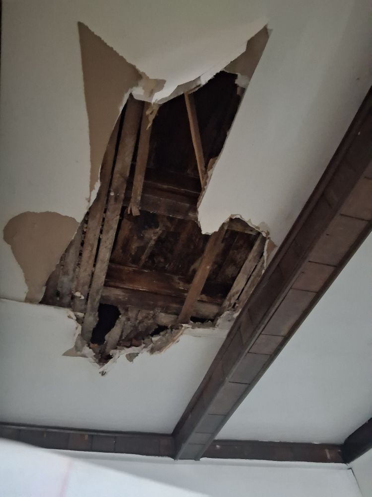 All Photos for K. Billey Construction in Brooklyn, NY