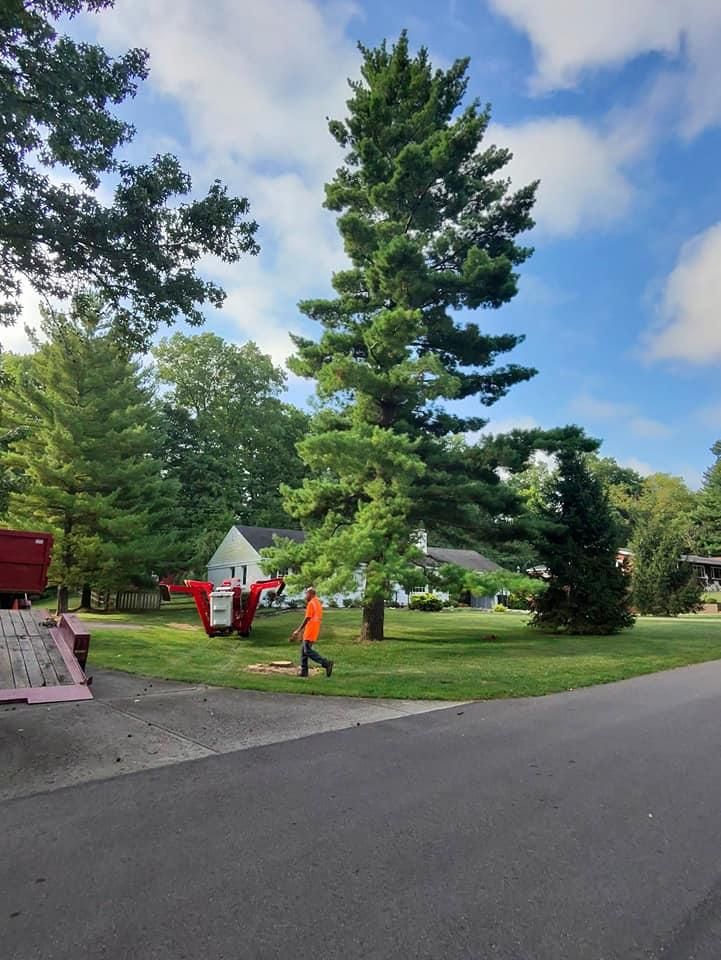 All Photos for F & F Tree Service in Beavercreek, OH