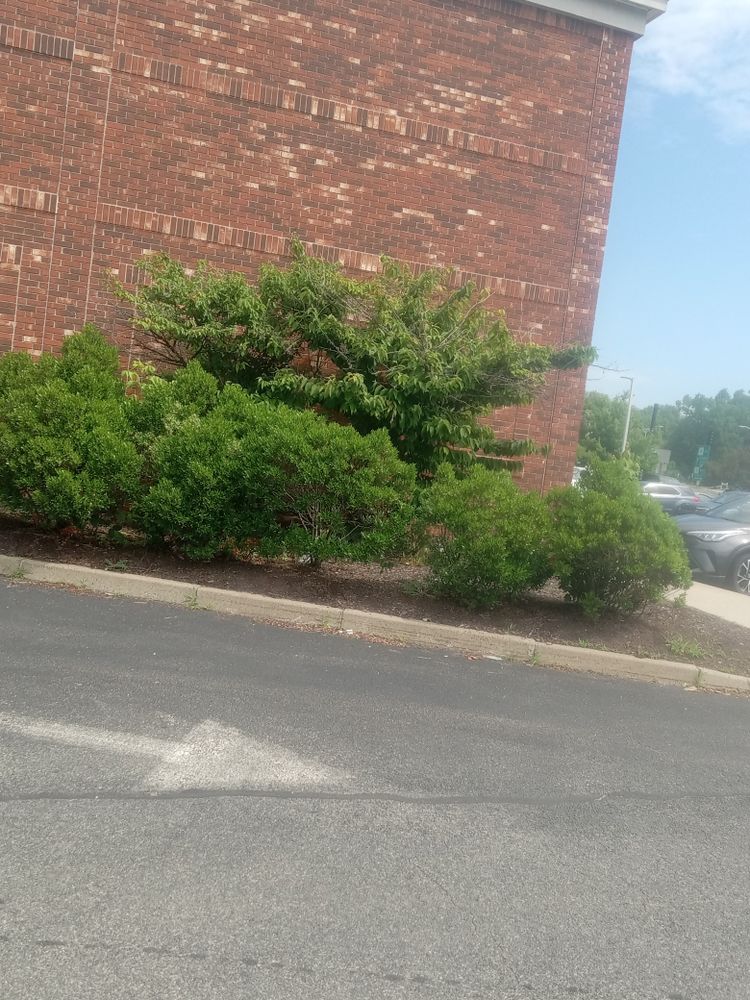 All Photos for K Brown's Property Maintenance in Pittsfield, MA