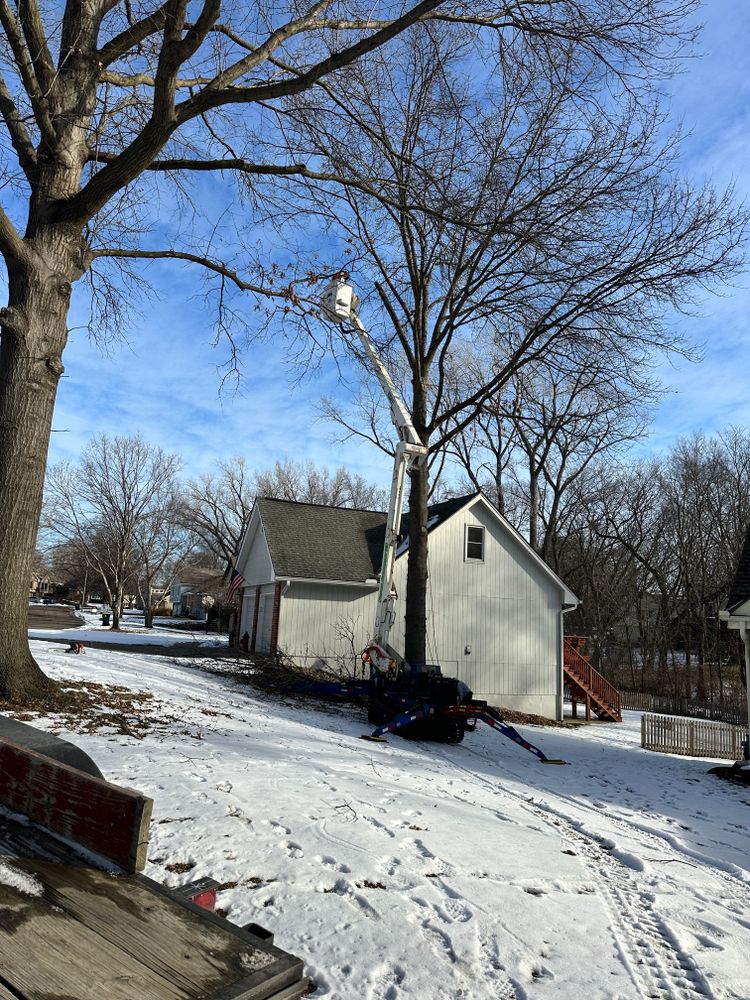 All Photos for Cross Family Tree Service in Kearney, MO