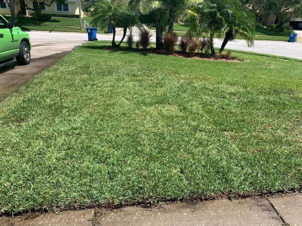 Lawn Care for Team Tolson Landscape in Tampa Bay, FL