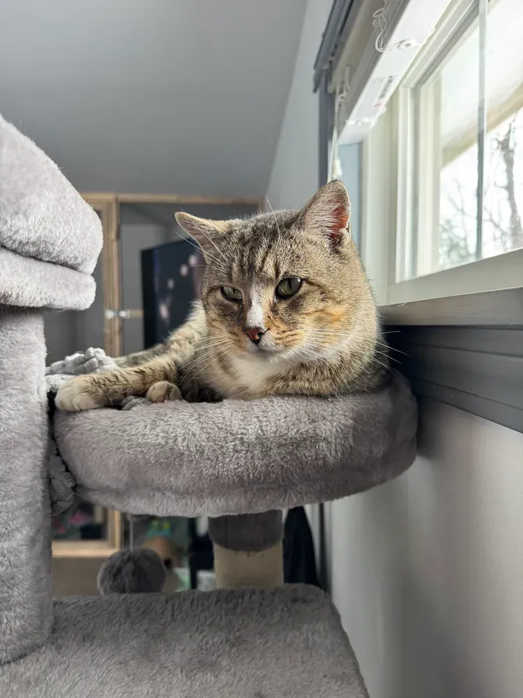 All Photos for Sullivan Sanctuary of Maine in Brunswick, ME