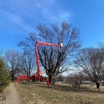 All Photos for SMITHs Tree Service in Columbus, IN