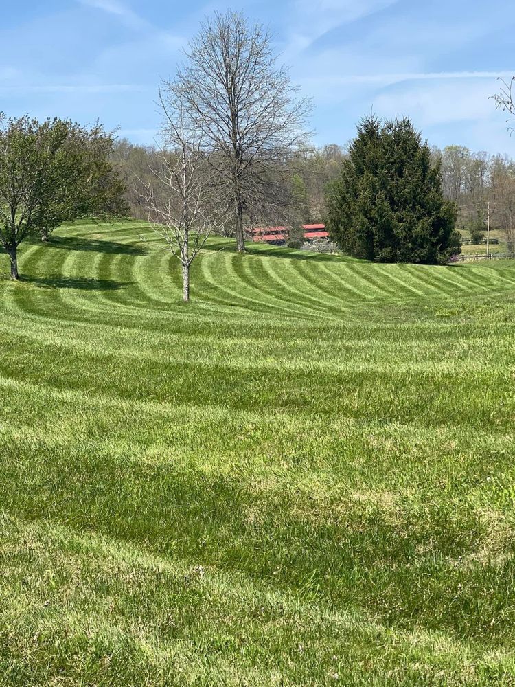 Lawn Care for Dust Till Dawn Lawn in London, Kentucky