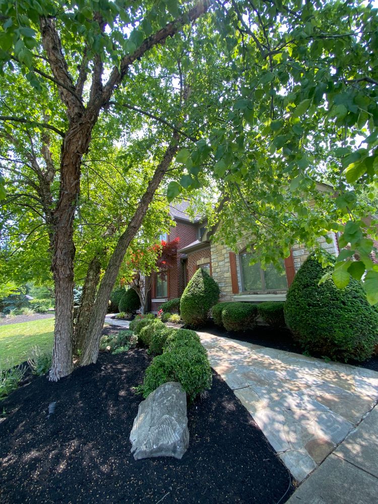 Lawn Mowing for Castle JR Landscaping & Painting LLC in Cincinnati, OH