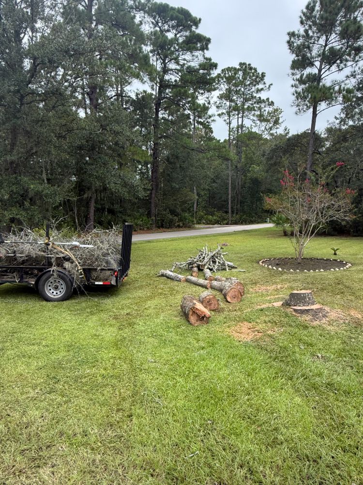Our expert lawn service ensures your grass stays lush, healthy, and well-manicured. We provide personalized care plans to enhance your property's curb appeal while complementing our exceptional tree services. for Hawkins Tree Service & Land Management in Richmond Hill, GA