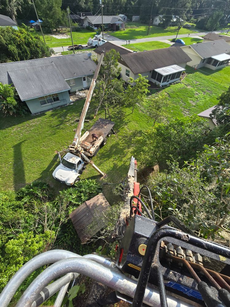 All Photos for Near Me Tree Service, Inc. in DeLand, FL