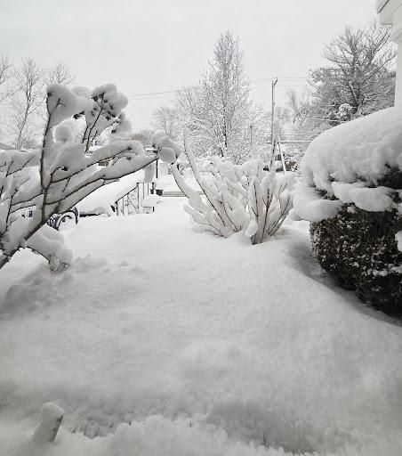 All Photos for Freshlook Painting LLC in Springfield, PA