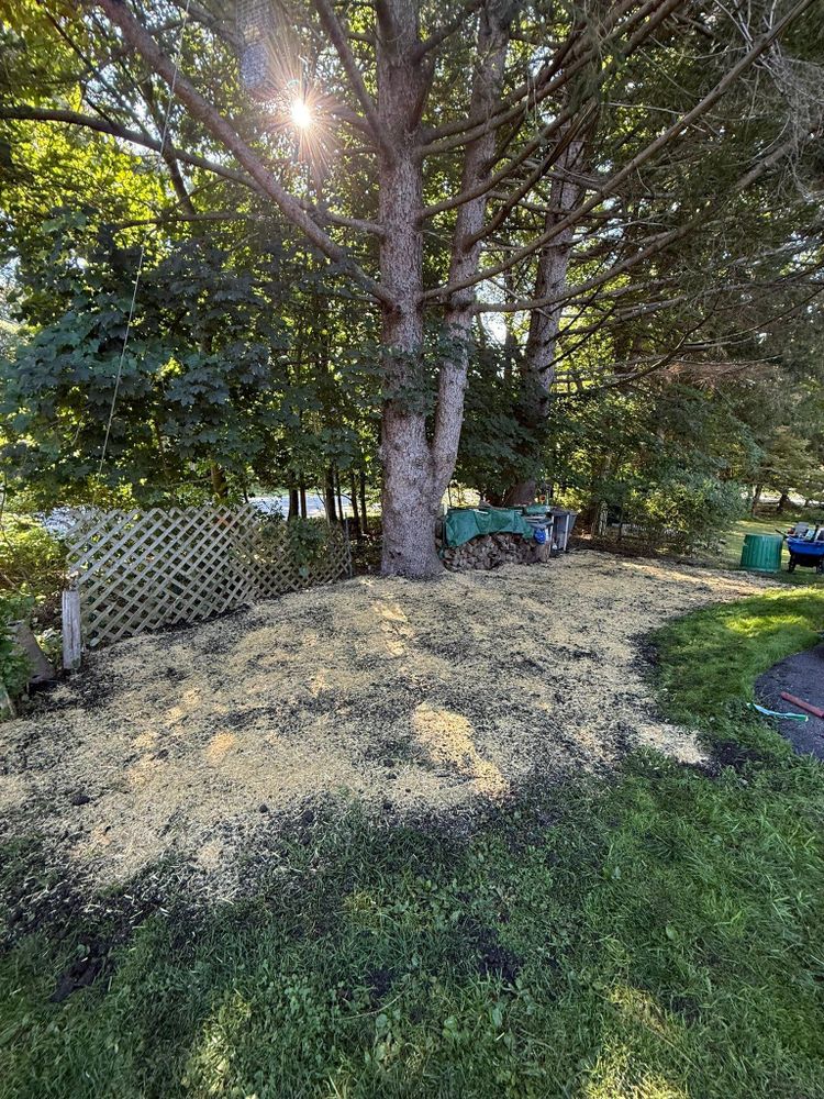 All Photos for Ardisi Property Maintenance LLC in Poughkeepsie, NY 