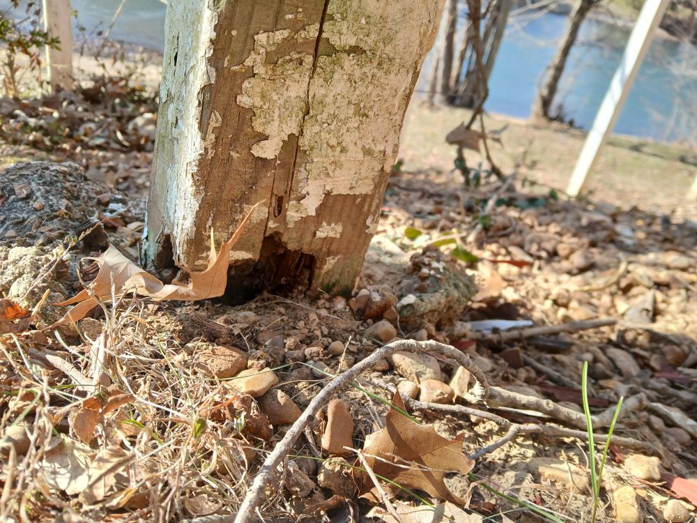 13 doors, 2 windows,  plus pool room Mechanics for Dead Tree General Contracting in Carbondale, Illinois