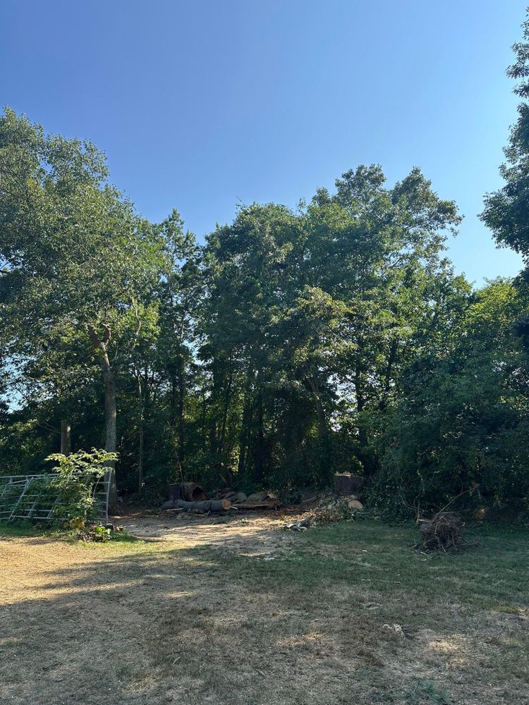 All Photos for Silver City Tree and Landscape in Taunton, MA