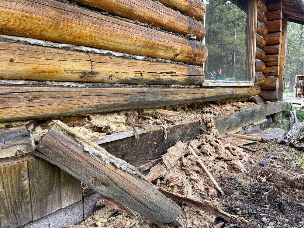 All Photos for True Blue Logworks LLC in Corvallis, MT