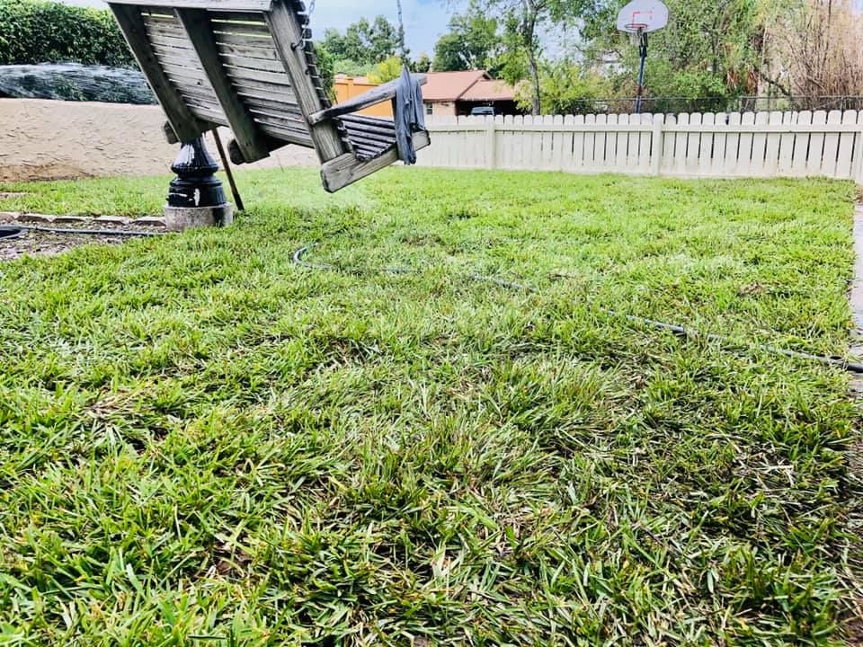 Lawn Care for Del Real Landscape Contractors LLC in Del Rio, TX