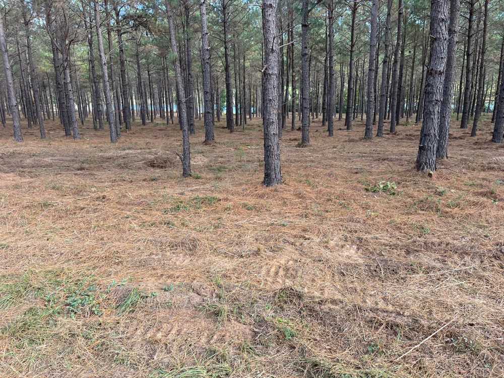 Tree Trimming & Removal for Randy Chumley Circle C Land Management in Marshall, TX