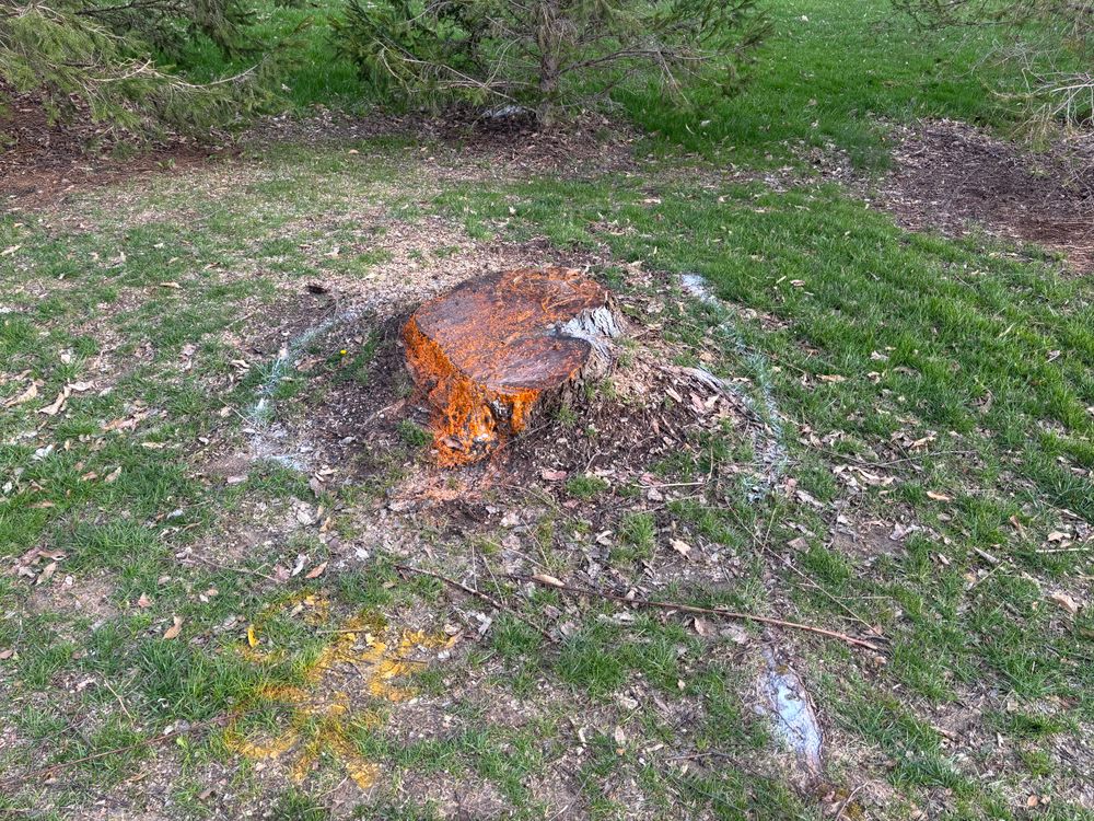 All Photos for Conrad's Stump Removal in Columbus, IN