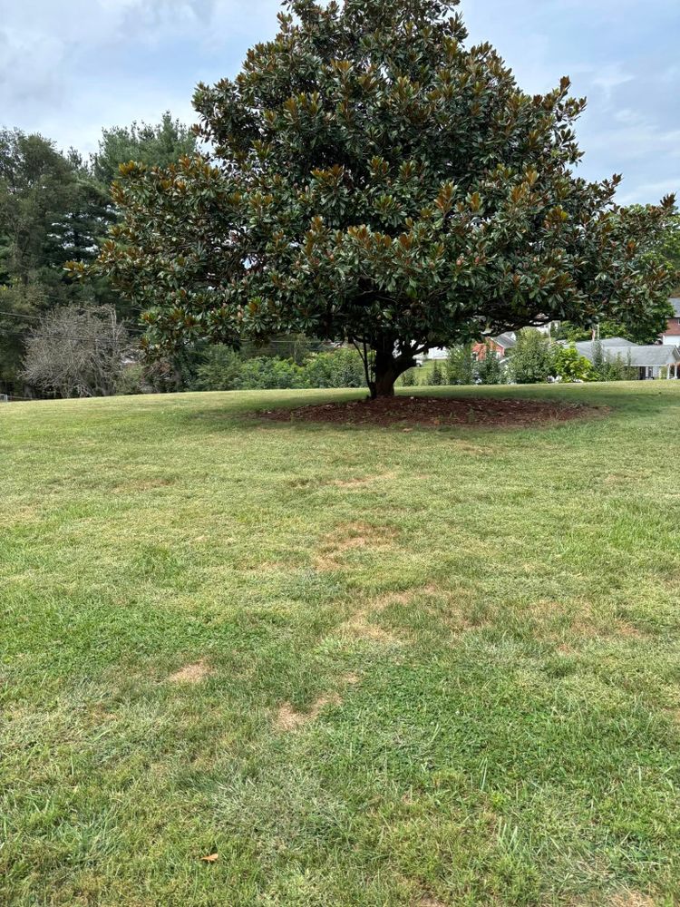 Discover the exceptional services at our Construction & Remodeling company, where expert repair and innovative solutions transform your home into a masterpiece. Elevate your living space with us today! for Personal Touch General Contractor in Galax, VA