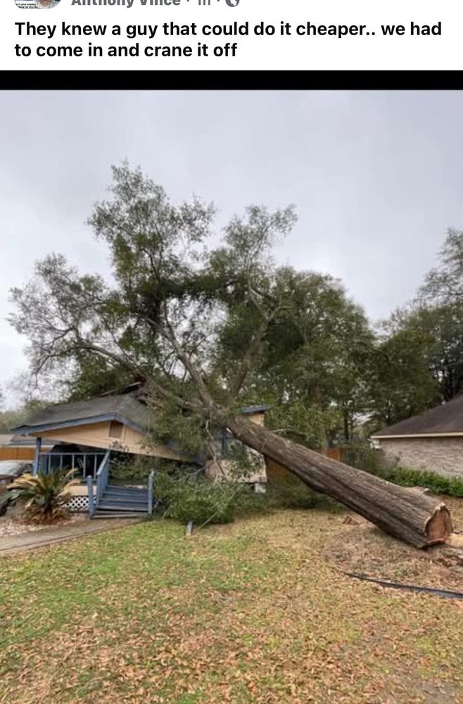 All Photos for IOL TREE EXPERTS in Spokane Valley, WA