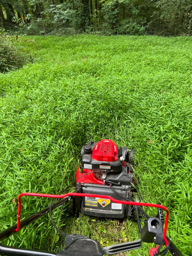 Landscaping for Williams Brothers Landscaping & Construction in Atlanta, GA