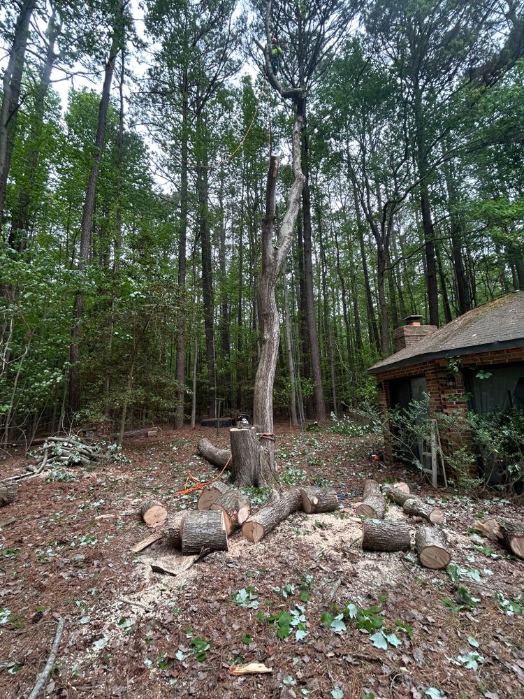 All Photos for The Whole 9 Yards Landscape VA in Heathsville, VA